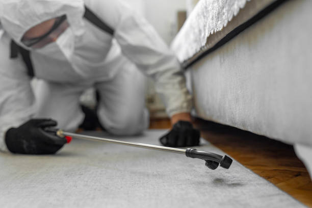 Professional Termite Control technician working in Muscoy, CA