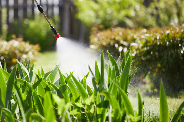 24/7 Emergency Termite Control experts in Muscoy, CA
